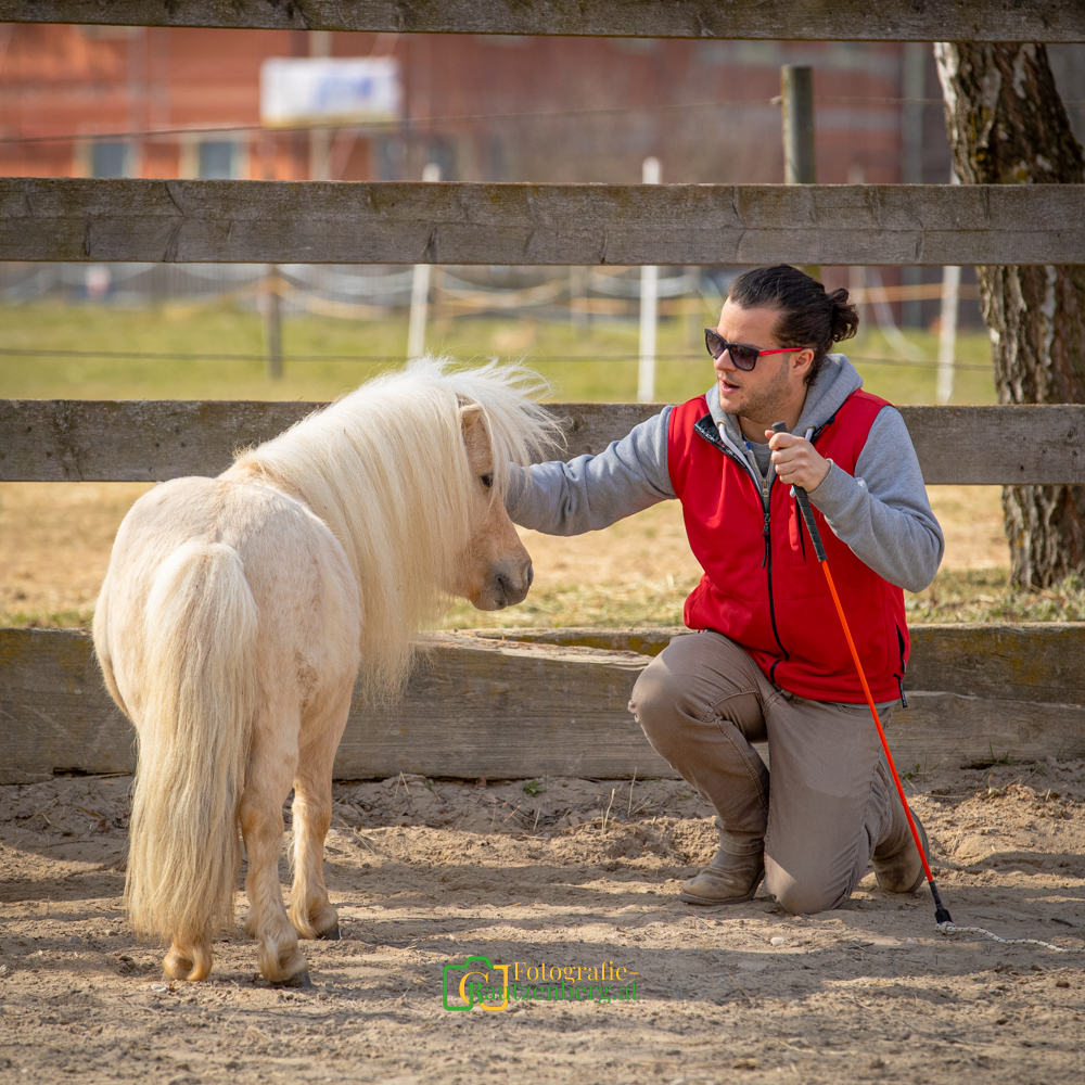Trainer kniet ruhig vor einem Pony und berührt seinen Kopf